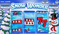 snow wonder machine a sous